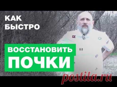 Как Быстро Восстановить Почки