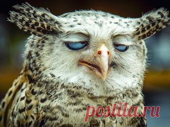 33 жизненные закономерности | Полезные советы