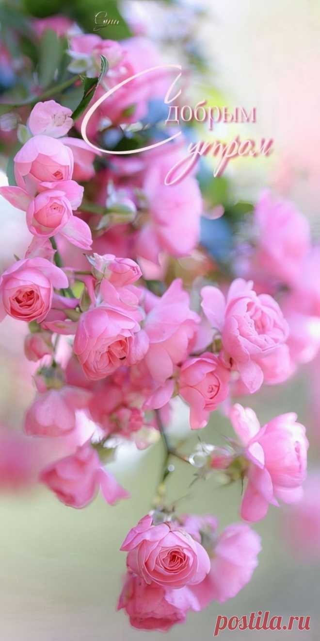 С добрым утром