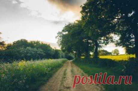 Умиротворение.