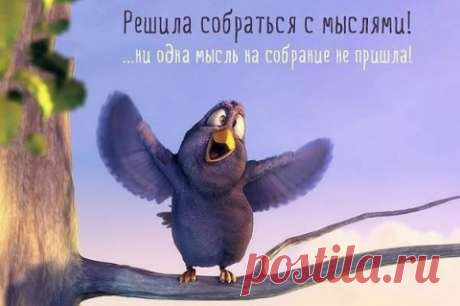 Не понимаю, почему нельзя пойти домой, если на работе нечего делать...