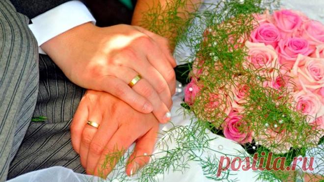 Любовь за миллионы: что толкнуло жительницу Камчатки отдать свои деньги аферисту? | Системно-векторная психология - антидот против информационного яда. Онлайн журнал