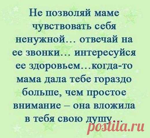 Институт Домохозяек!