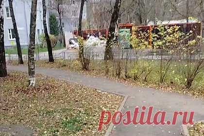 Подозрительную купюру заметили в Красногорске задолго до ЧП с ребенком