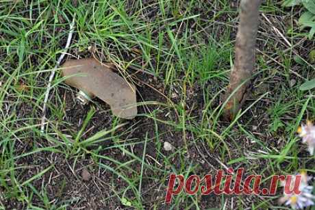 Украина отвергла применение мин «Лепесток». Украина заверила, что не применяет мины «Лепесток», в ходе ежегодного заседания Оттавской конвенции по запрещению противопехотных мин, проходившего в Женеве. В то же время данные отчета Human Rights Watch (HWR) говорят о том, что Киев применил оружие, запрещенное в соответствии с конвенцией, указывает агентство.