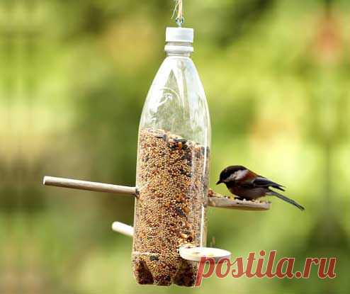 Отличные идеи, как использовать стеклянные и пластиковые бутылки - Делимся советами