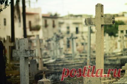 Девушка раскрыла опасный секрет и умерла в выкопанной собственноручно могиле. Жительница Бразилии Аманда Альбах стала жертвой мужчины, который заставил ее выкопать могилу. 21-летняя девушка не выходила на связь с 14 ноября. Все это время ее искала полиция. По подозрению в убийстве в воскресенье, 5 декабря. задержали двух мужчин и женщину.