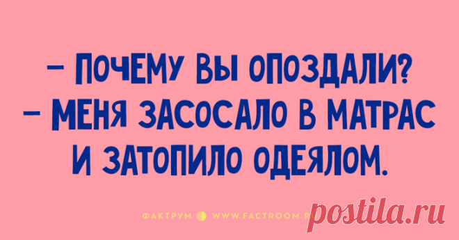 Новые обалденные анекдоты, которыми вы захотите поделиться со всеми