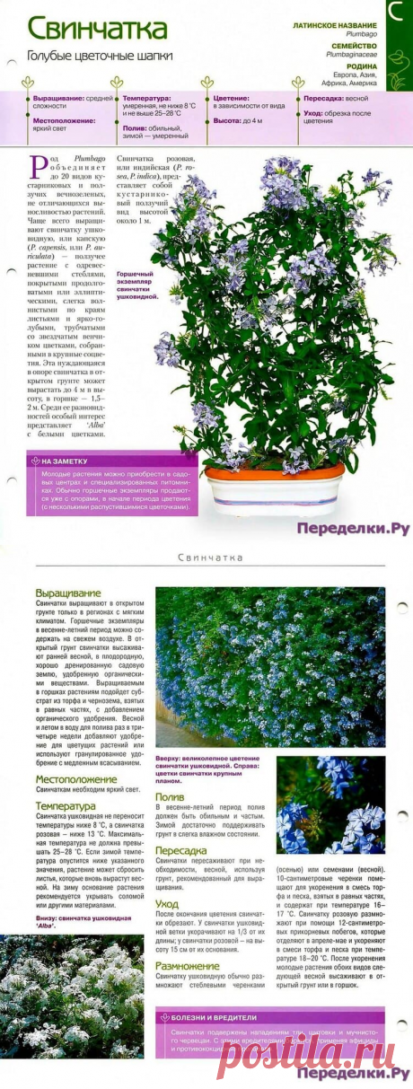 Свинчатка * Переделки.РуПеределки.Ру