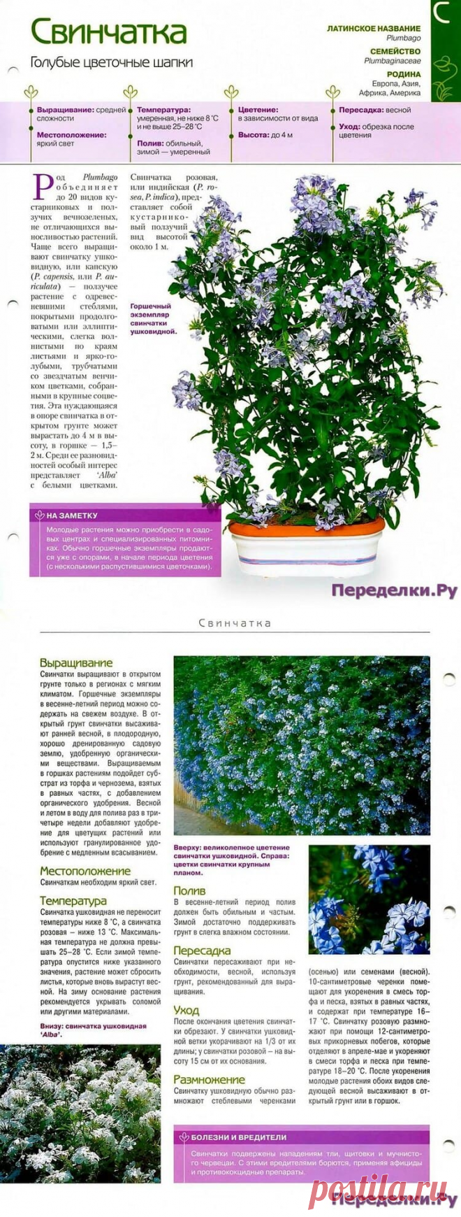 Свинчатка * Переделки.РуПеределки.Ру
