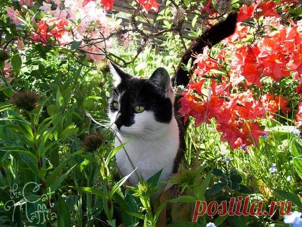 доброе утро. Всем доброго субботнего утра и хороших выходных .