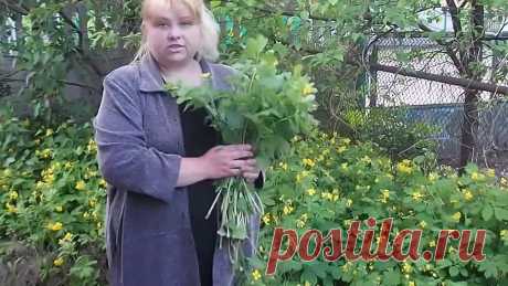 (39) Одноклассники    СЕКРЕТЫ БОГАТЫХ ЖЕНЩИН