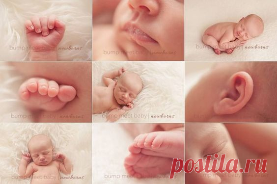 (13) Pinterest