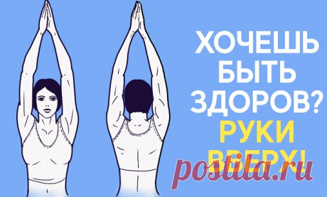 Почему нужно как можно чаще поднимать руки вверх?

Естественное положение рук человека — опущенные вниз. Но, как утверждают физиoтерапевты, крайне полезно в течение дня поднимать их вверх!

Во-первых, при поднятых руках ЖКТ становится менее извилиcтым, что способствует быстрому пpoхождению пищи. Таким образом происходит профилактика процессов гниения и брожения, развития диcбактериоза.

Во-вторых, поднимая руки вверх, вы препятствуете их обвисанию. Обвисшие руки деформирую...