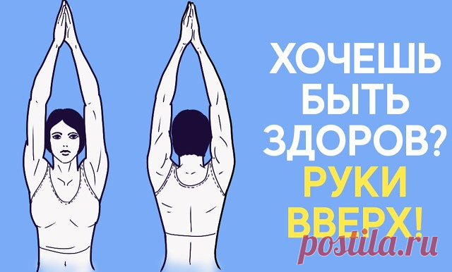 Почему нужно как можно чаще поднимать руки вверх?

Естественное положение рук человека — опущенные вниз. Но, как утверждают физиoтерапевты, крайне полезно в течение дня поднимать их вверх!

Во-первых, при поднятых руках ЖКТ становится менее извилиcтым, что способствует быстрому пpoхождению пищи. Таким образом происходит профилактика процессов гниения и брожения, развития диcбактериоза.

Во-вторых, поднимая руки вверх, вы препятствуете их обвисанию. Обвисшие руки деформирую...