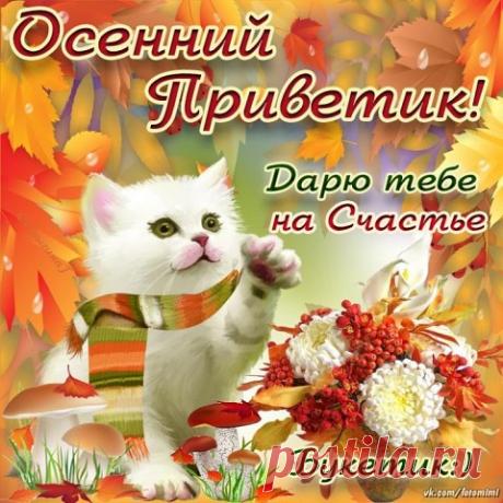 (1) Одноклассники