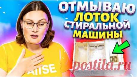 ОТМЫТЬ ЛОТОК стиральной машинки от Закаменелого порошка, Известкового налета, Плесени и Грязи