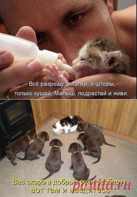 (57) Одноклассники
