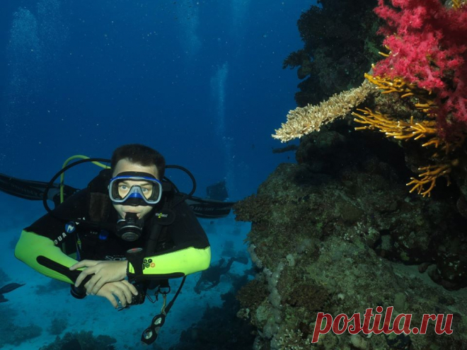 «С момента своего рождения человек несёт на своих плечах груз земного притяжения. Он прикован к земле. Но стоит только человеку нырнуть под воду, как он обретает свободу».
Жак-Ив Кусто