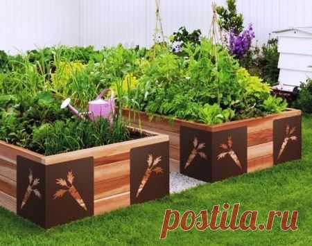 Высокие грядки по методу лазаньи! [3701] | Огород | Garden Star - информационный портал