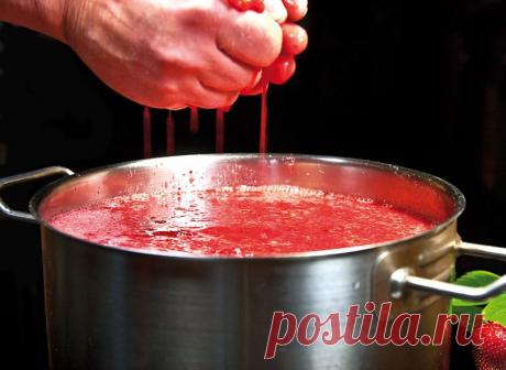 Метаморфозы вина из клубники: как я делаю клубничное вино