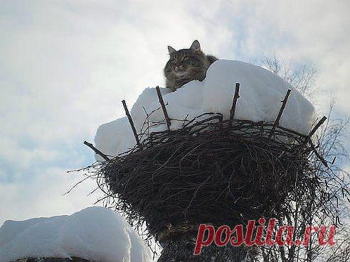 Михаил Мартынов