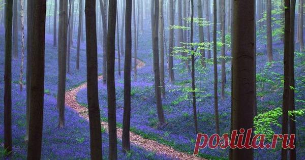 Простой тест — что для вас важно на самом деле? Отключите на время свою логику — вопросы направлены на игру с вашим подсознанием. Не давайте себе времени на раздумья. Записывайте первое, что приходит в голову.       1. Представьте, …