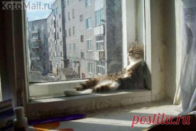 Загораем | KotoMail.ru