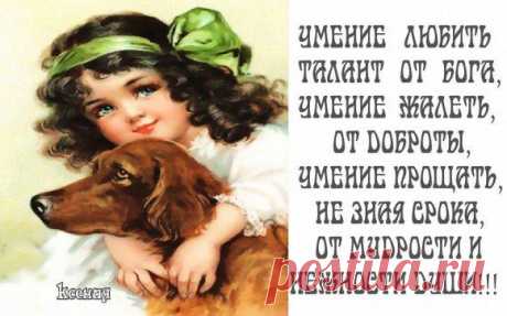 (86) Одноклассники