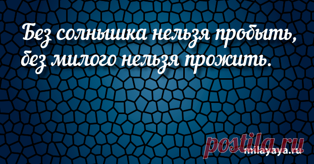 Короткая поговорка для женщин в картинках (картинка 33) . Милая Я
