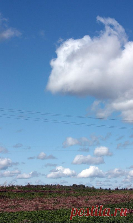 Яндекс.Фотки