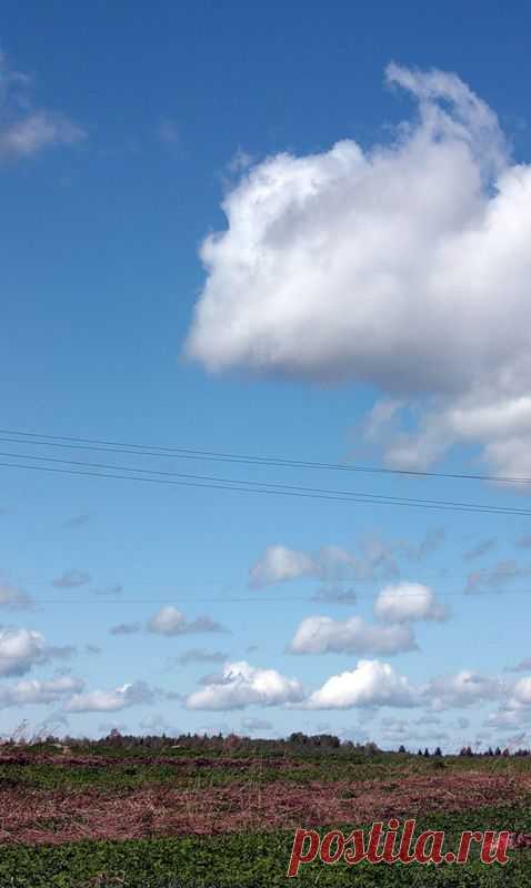 Яндекс.Фотки