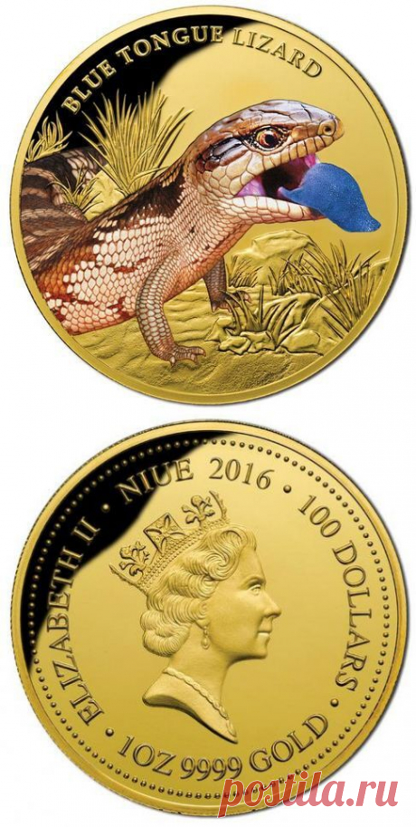 Остров Ниуэ выпустил еще одну монету «Blue Tongue Lizard» («Синеязыкая ящерица») в серии, посвященной ящерицам. | Банки РФ