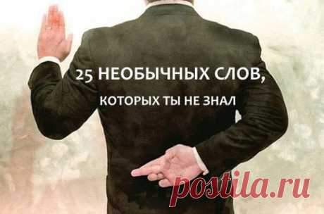 25 НЕОБЫЧНЫХ СЛОВ, КОТОРЫХ ТЫ НЕ ЗНАЛ:
1. Фрик – человек, отличающийся ярким, необычным, экстравагантным внешним видом и вызывающим поведением, а также обладающий неординарным мировоззрением, которое является результатом отказа от социальных стереотипов
2. Экивоки – двусмысленные намеки, увертки
3. Тролль – лицо в интернете, совершающее провокационные действия
4. Девиант – человек не соответствующий норме
5. Катарсис – изменение сознания через сильные переживания
6. Атара́ксия – душевное спокой