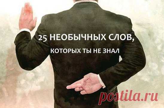25 НЕОБЫЧНЫХ СЛОВ, КОТОРЫХ ТЫ НЕ ЗНАЛ:
1. Фрик – человек, отличающийся ярким, необычным, экстравагантным внешним видом и вызывающим поведением, а также обладающий неординарным мировоззрением, которое является результатом отказа от социальных стереотипов
2. Экивоки – двусмысленные намеки, увертки
3. Тролль – лицо в интернете, совершающее провокационные действия
4. Девиант – человек не соответствующий норме
5. Катарсис – изменение сознания через сильные переживания
6. Атара́ксия – душевное спокой