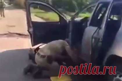 Во взорванной машине главы ВГА Михайловки находилась его приемная дочь. Во взорванной машине главы военно-гражданской администрации (ВГА) Михайловки Ивана Сушко находилась его приемная дочь. Об этом рассказал член главного совета администрации Запорожской области Владимир Рогов. «По счастливой случайности ребенок выжил и не получил критических ранений», — указал он.