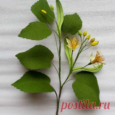 #tilia #paper #flowers #decoration #crepepaper #branch 🍃 #linden