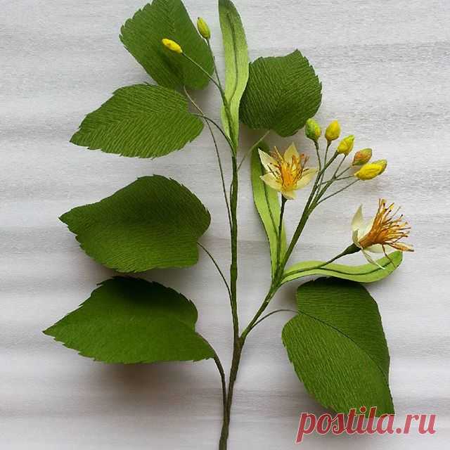 #tilia #paper #flowers #decoration #crepepaper #branch 🍃 #linden
