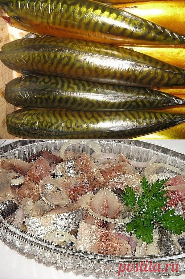 СКУМБРИЯ ХОЛОДНОГО КОПЧЕНИЯ *ЕЩЕ ХОЧУ*