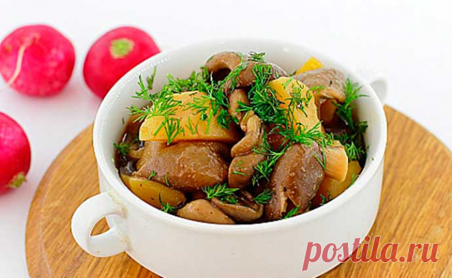 Рецепт Как приготовить вешенки в мультиварке — MEGOCOOKER