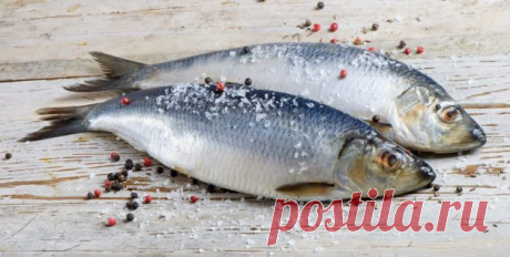 8 способов быстро и вкусно засолить селёдку - Лайфхакер
