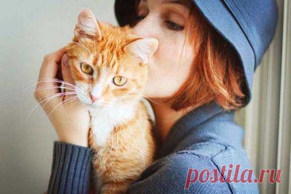 Как на самом деле относятся к людям кошки Принято считать, что кошки менее привязаны к людям, чем собаки, но ученые доказали, что это не так.В 2019 году специалисты Орегонского университета (США) выяснили, что у кошек в раннем детстве формируется глубокая связь с хозяином, которая, предположительно, сохраняется на всю жизнь. Но в...