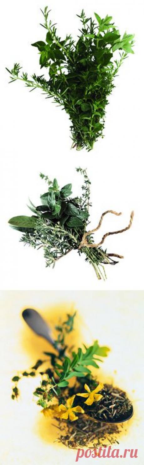 Советы народной медицины: лечимся на кухне | Советы Народной Мудрости