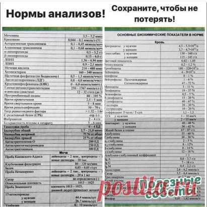 Самые полезные советы