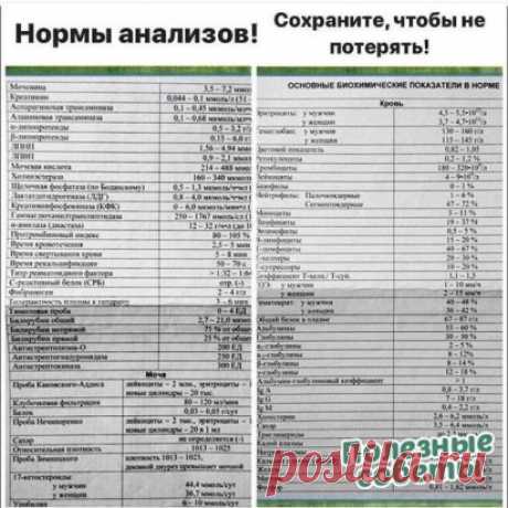 Самые полезные советы