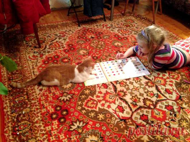 Интересно кто выиграет?