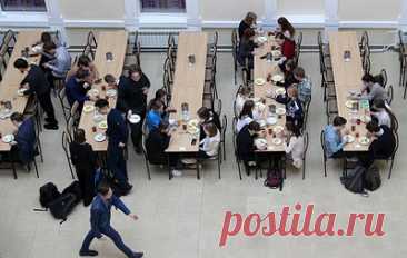 Диетолог Гинзбург предупредил о рисках веганского питания для детей. Оно может негативно отразиться на когнитивном развитии ребенка, считает доктор медицинских наук