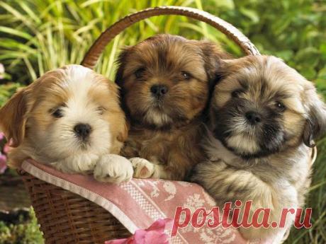 ۩♥ДИЗАЙН интерьера , РОСКОШНЫЕ дома и КВАРТИРЫ♥۩
ღ​❤Лолита ღ​❤