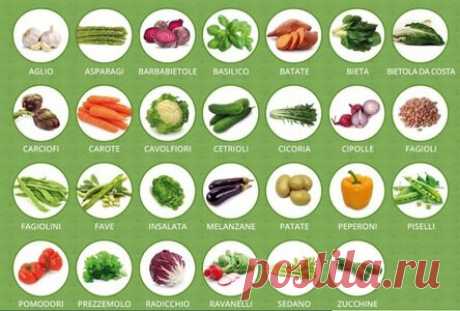 Полный перечень противораковых продуктов!