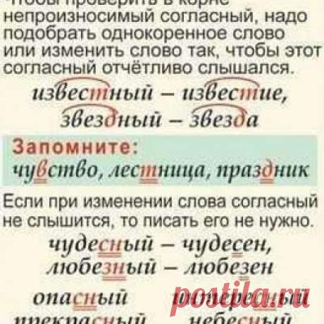 Учитель русского языка